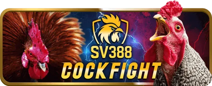 Thưởng nạp lại hàng ngày 98win01 nhà cái